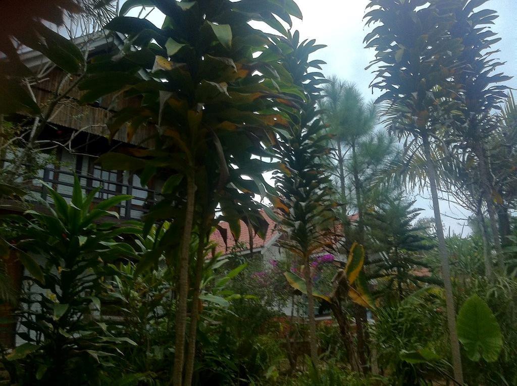 Nature Land Hotel กาลอว์ ภายนอก รูปภาพ